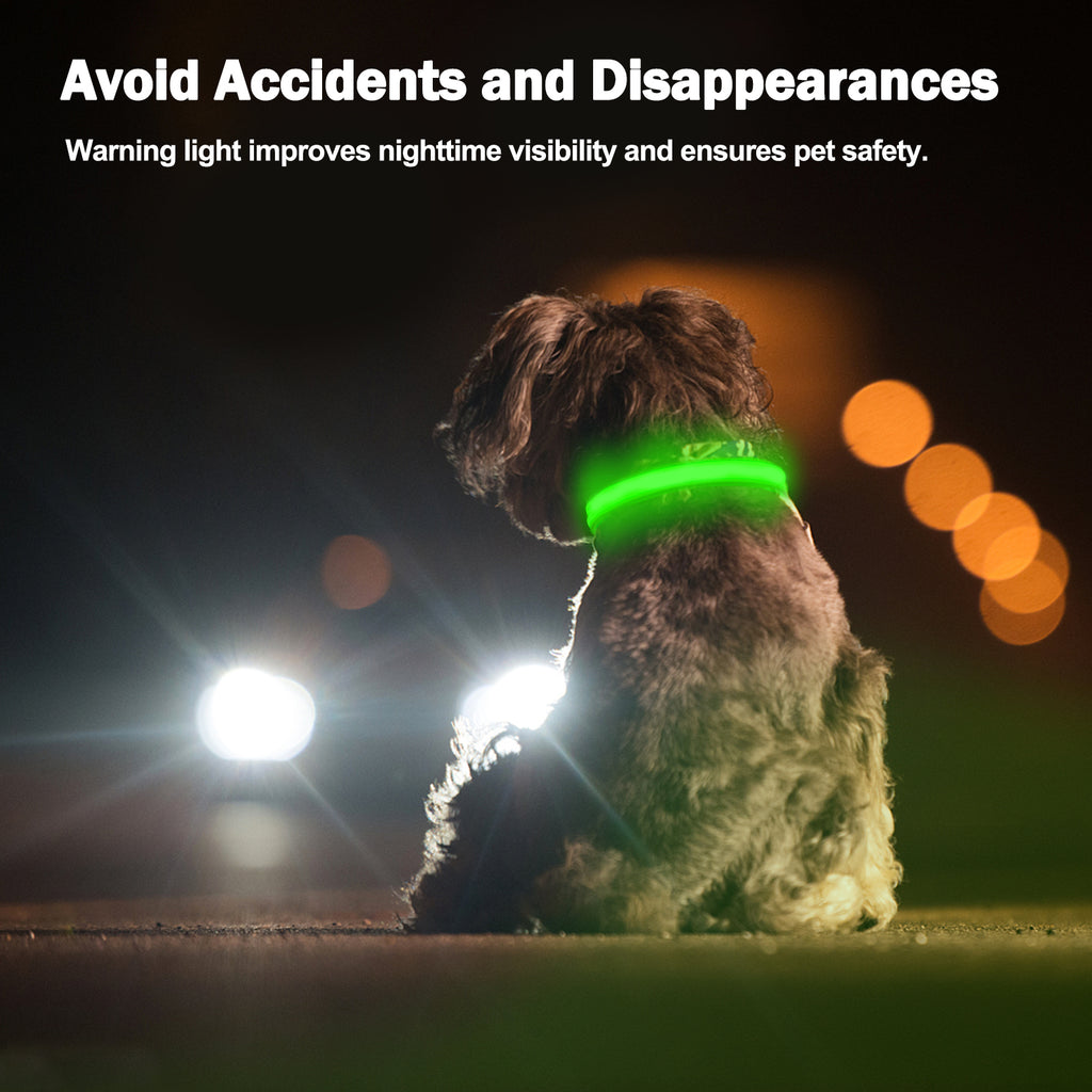 LED Dog Collar – Rechargeable Light Up Collar with 3 Flash Modes, Adjustable for Small Medium Large Dogs