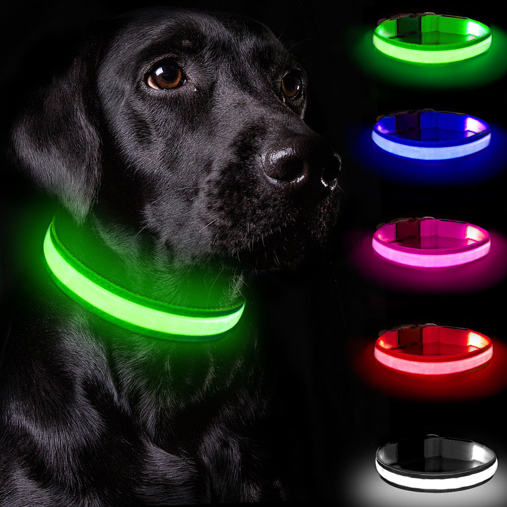 LED Dog Collar – Rechargeable Light Up Collar with 3 Flash Modes, Adjustable for Small Medium Large Dogs