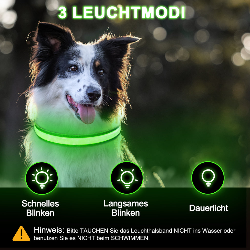 LED Dog Collar – Rechargeable Light Up Collar with 3 Flash Modes, Adjustable for Small Medium Large Dogs